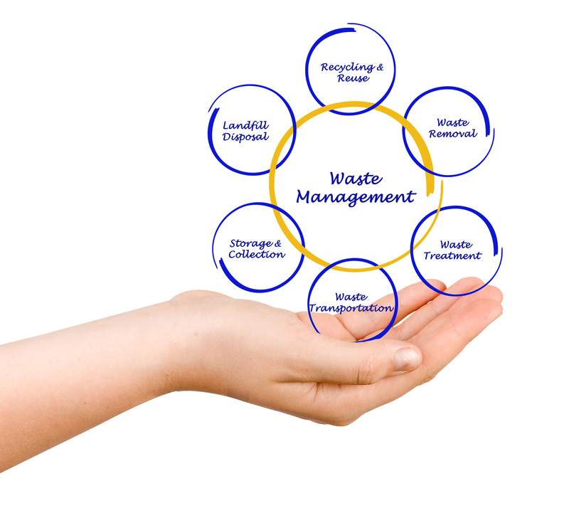 Uncovering the Need for Waste Clearance Services in Urban Areas